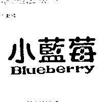 小藍莓 BLUEBERRY