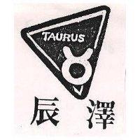 辰澤 TAURUS 及圖 