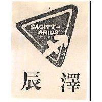 辰澤 SAGITT ARIUS 及圖