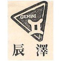 辰澤 GEMINI 及圖 
