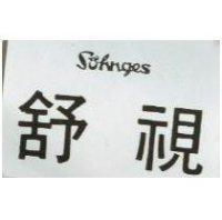 舒視 SOHNGES