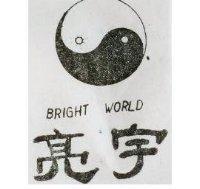 亮宇及圖 BRIGHT WORLD 