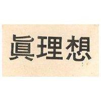 真理想