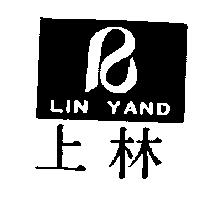 上林 LIN YAND 及圖