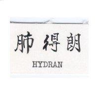 肺得朗 HYDRAN