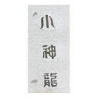 小神龍
