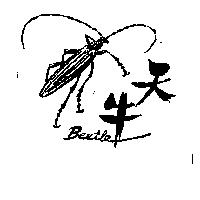 天牛及圖 BEETLE