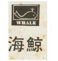 海鯨及圖 WHALE