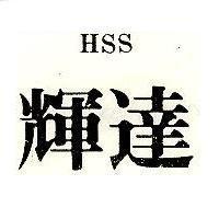 輝達 HSS