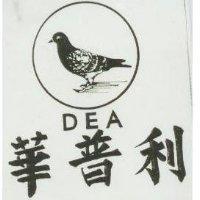華普利及圖 DEA