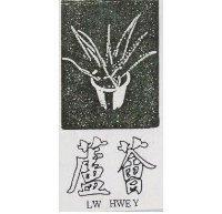 蘆薈 LW HWEY