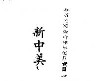 新中美