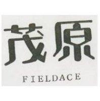 茂原 FIELDACE