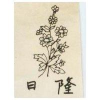 日隆及圖