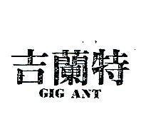 吉蘭特 GIG ANT 