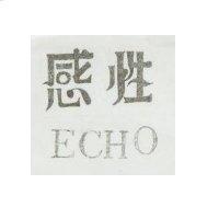 感性 ECHO