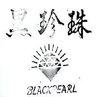 黑珍珠及圖 BLACKPEARL