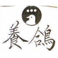 養鴿及圖
