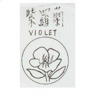 紫羅蘭 VIOLET