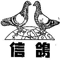 信鴿