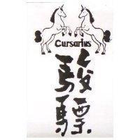 駿驃及圖 CURSARIUS 