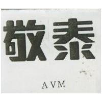 敬泰 AVM