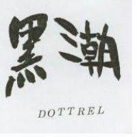 黑潮 DOTTREL