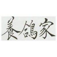 養鴿家