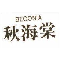 秋海棠 BEGONIA