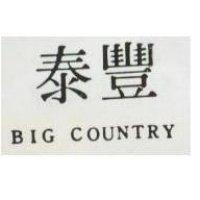 泰豐 BIG COUNTRY