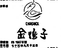 金鴨子 CHIN DUCK 及圖