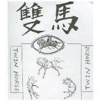 雙馬 TWIN HORSE 及圖