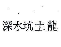 深水坑土龍