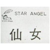 仙女及圖 STAR ANGEL 
