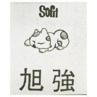 旭強及圖 SOFIT 