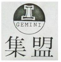 集盟 GEMINI 及圖 