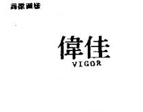 偉佳 VIGOR