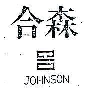 合森及圖 JOHNSON