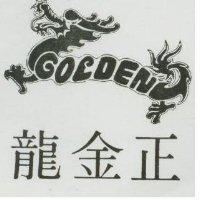 正金龍及圖