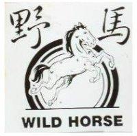野馬 WILD HORSE