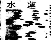 水蓮及圖