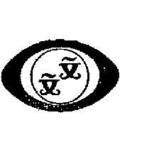 文文