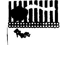 你我他及圖