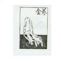 金蔘及圖