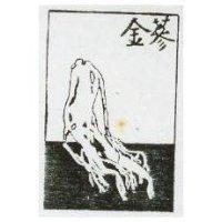 金蔘及圖
