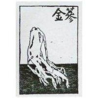 金蔘及圖