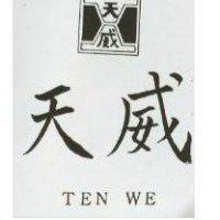 天威 TEN WE 及圖 
