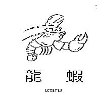 龍蝦 LOBSTER 及圖