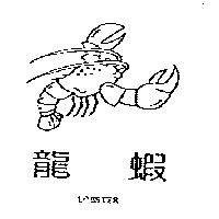 龍蝦 LOBSTER 及圖