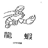 龍蝦 LOBSTER 及圖